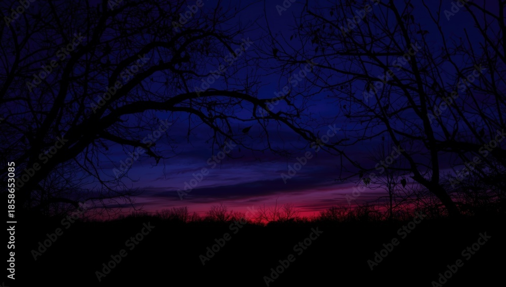 Fototapeta premium Twilight sky with silhouetted tree branches, serving as a calm backdrop for editorial design during fall