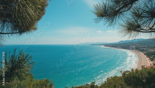 Scene through pine foliage ...