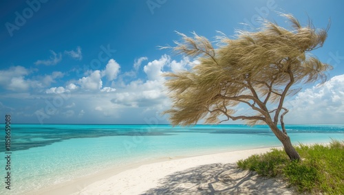 Trees battered by wind near...