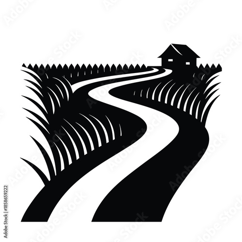 Rural Rice Paddy Path Landscape