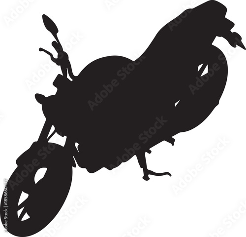 rooster on a white background