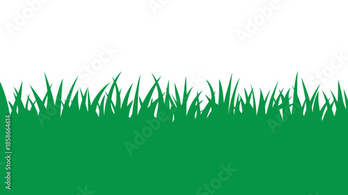 Green grass background with a clear white sky