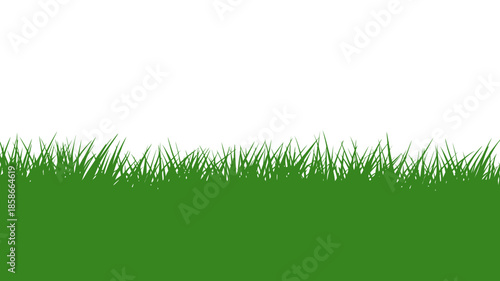 Green grass background with a clear white sky