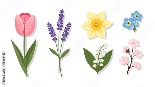 Floral collection: tulip, lavender, daffodil, lily, cherry blossom, forget me not