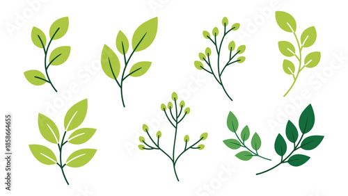 Nature-inspired leaf and branch designs featuring greenery elements