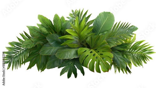 Lush tropical foliage cluster (6)