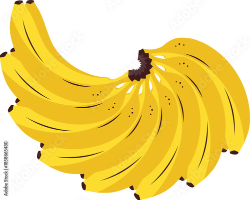 Graphic illustration of a fresh ripe yellow banana bunch isolated on white