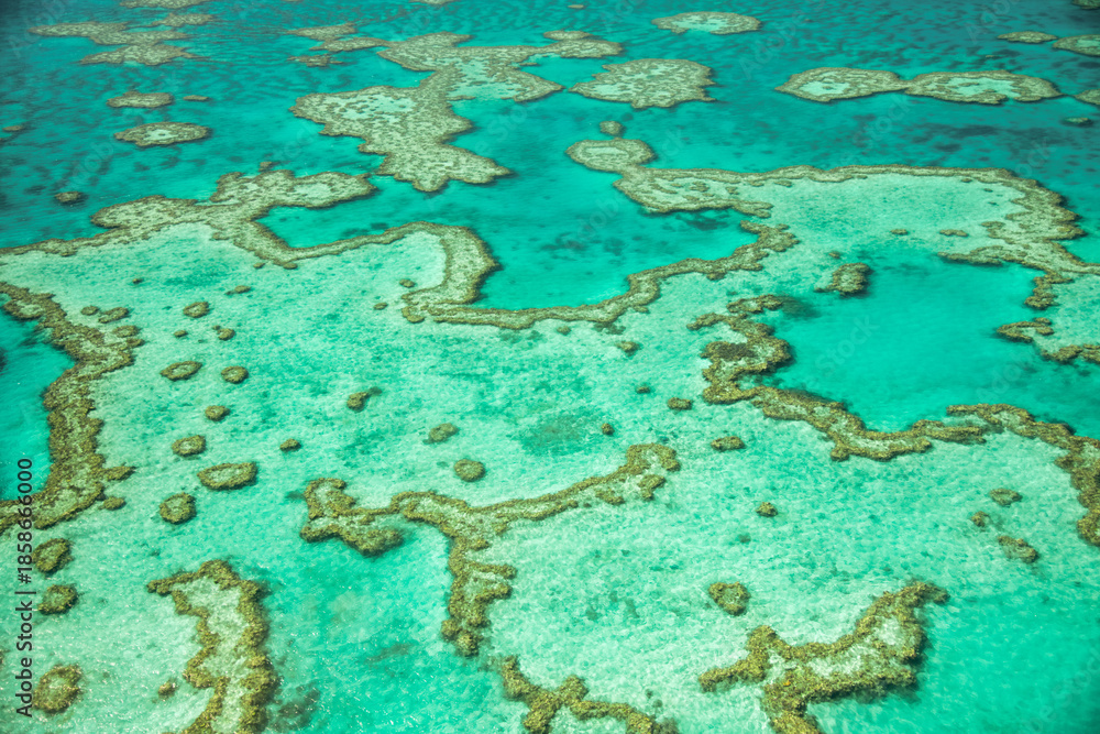Naklejka premium Scenic airplane perspective of Queensland coral reef showcasing turquoise waters and marine textures