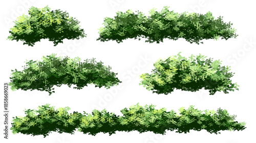 set of green grass, Vertor set of green tree,plants side view for landscape elevations,element for backdrop,eco environment concept design,watercolor greenery scene