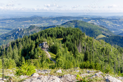 Panoramic Mountain View with Pine Forest and Rock