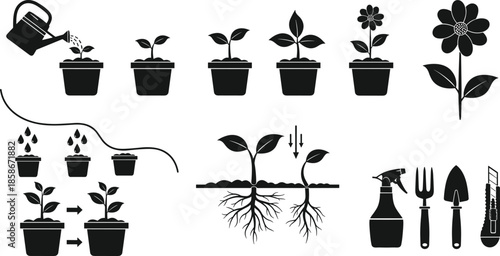 Plant growth stages gardening process watering planting roots tools silhouette icons isolated black vector illustration set agriculture education design