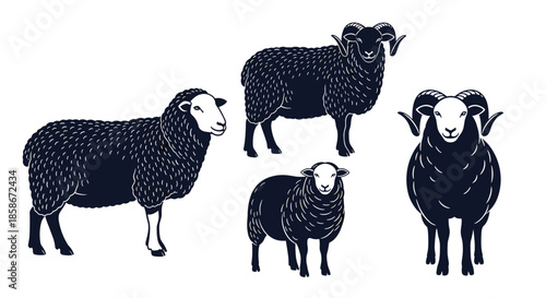Four black sheep and rams shown in different perspectives including side profile and front view on a white background.