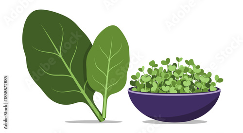 Fresh green spinach leaves standing next to a purple bowl filled with nutritious microgreens for healthy lifestyle concepts.