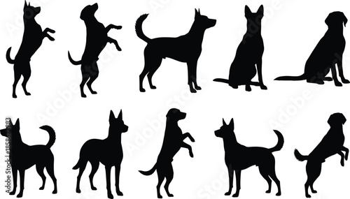Dog silhouettes in various poses, black canine shapes, pet posture collection, animal behavior icons, breed identification, graphic design elements