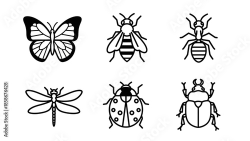 Insect line art collection featuring butterfly bee and ant illustrations set including dragonfly ladybug and beetle graphics on white background for biological studies and environmental designs