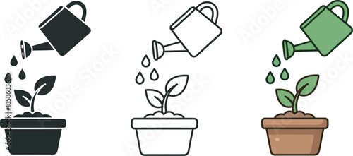 Three potted plants being watered with different colored watering cans