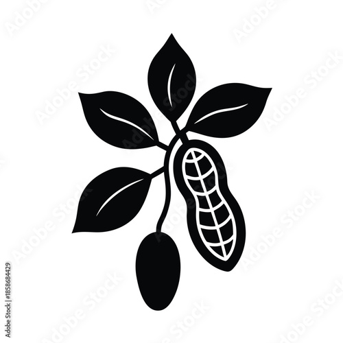 Senegal Peanut Plant Icon