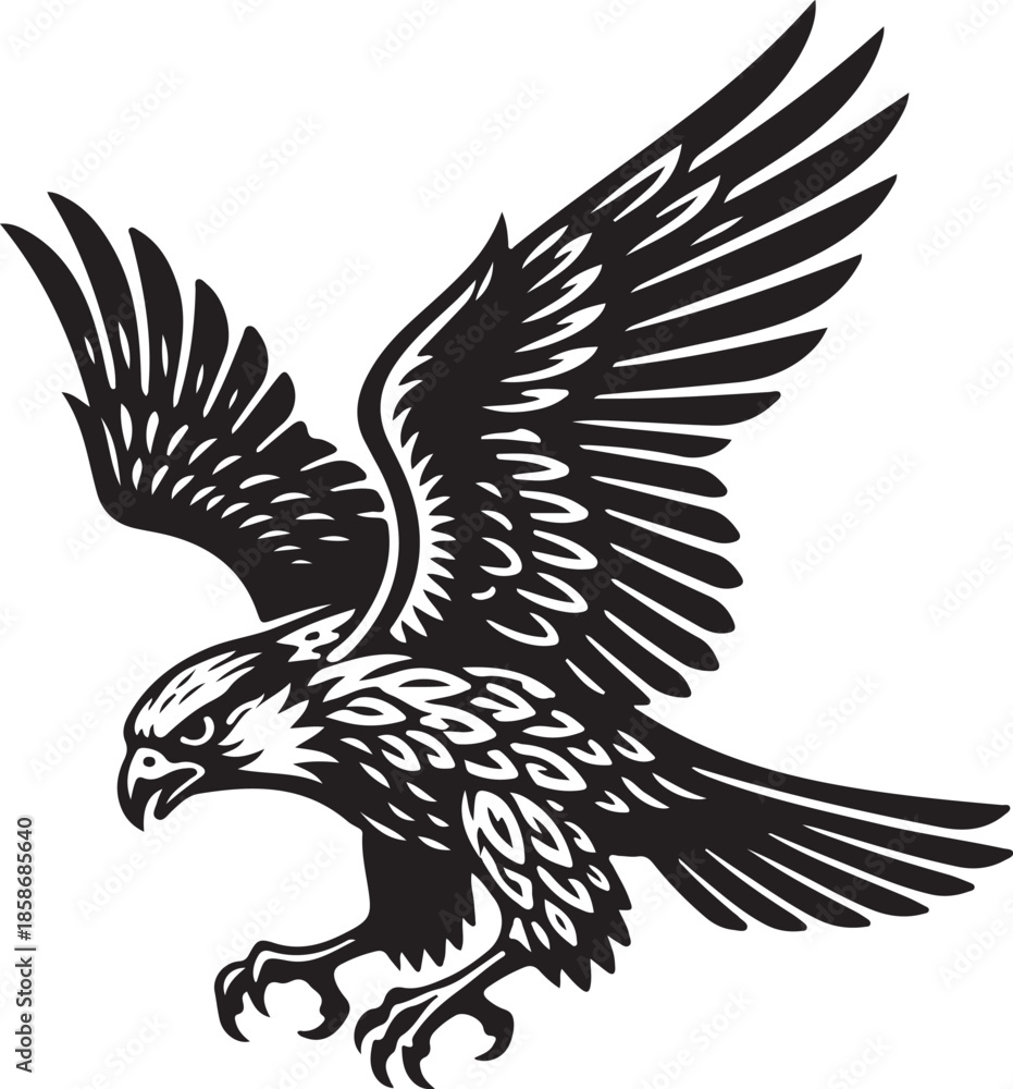 Obraz premium Falcon Silhouette