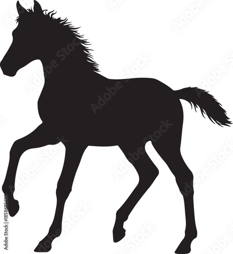 Foal Silhouette
