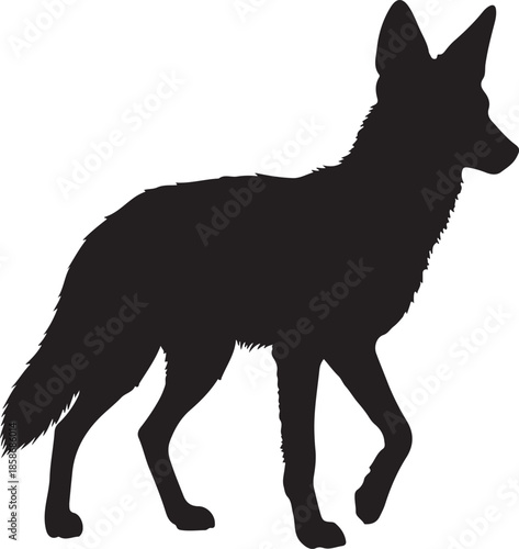 Jackal Silhouette