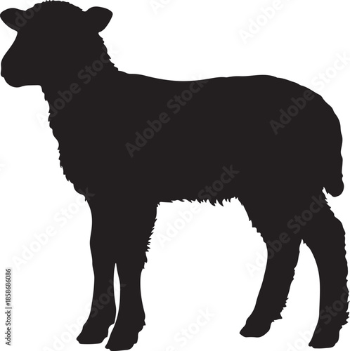 Lamb Silhouette