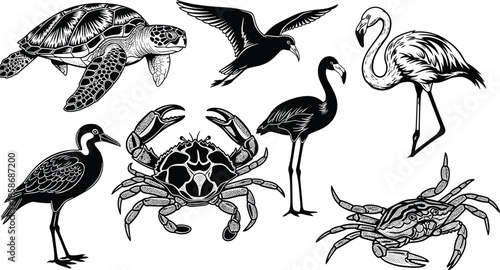 Black and white coastal wildlife silhouettes set with sea turtle, crab, flamingo and seagull icons isolated on white background for nautical nature design.