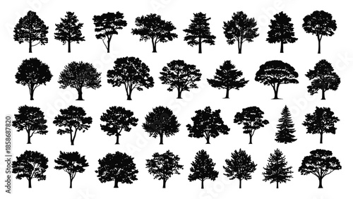 Collection of tree silhouettes