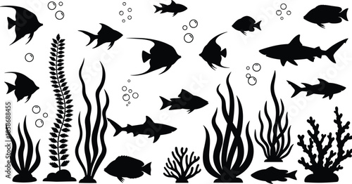 Black silhouette of tropical fish, sharks and coral reef plants with bubbles isolated on white background, marine life icons for aquatic nature design.