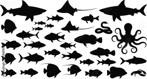 Large set of black sea creature silhouettes including sharks, octopus, rays and tropical fish isolated on white background, marine life icons for design.