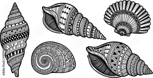 Sea shells collection with ethnic patterns, tribal mollusk vector icons, beach nature illustrations, black ocean shell elements, isolated aquatic life ornaments, decorative,