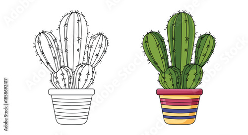Hand drawn cactus plant in a colorful decorative pot presented in both line art and vibrant colored versions.