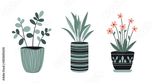 Trio of various indoor houseplants in decorative ceramic pots including a leafy bush, tall grass, and pink flowers.