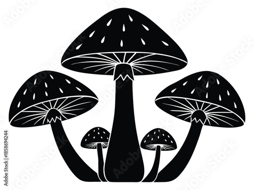 mushrooms vector on white background