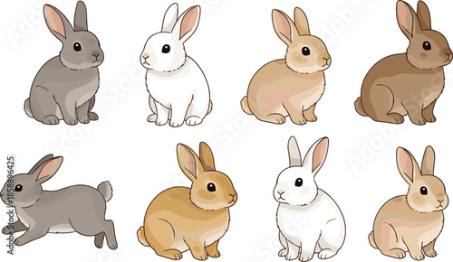 Cute Rabbit and Bunny Characters Collection in Different Poses Flat Cartoon Vector Illustration Isolated on White Background