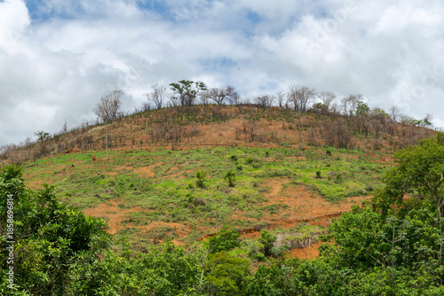 Hilltop, where native Atlantic Forest vegetation once existed, after eucalyptus trees were cut down, in the municipality of Guarani, state of Minas Gerais, Brazil.