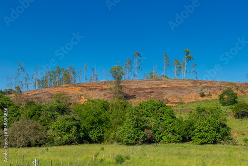 Hilltop, where native Atlantic Forest vegetation once existed, after eucalyptus trees were cut down, in the municipality of Guarani, state of Minas Gerais, Brazil.