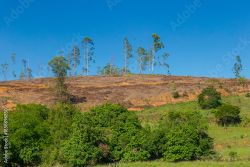 Hilltop, where native Atlantic Forest vegetation once existed, after eucalyptus trees were cut down, in the municipality of Guarani, state of Minas Gerais, Brazil.