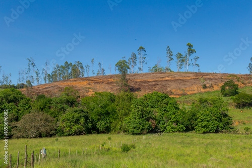 Hilltop, where native Atlantic Forest vegetation once existed, after eucalyptus trees were cut down, in the municipality of Guarani, state of Minas Gerais, Brazil.