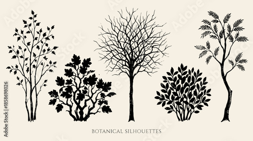 Set of five vintage black botanical silhouettes featuring diverse trees and bushes on a clean beige background, concept for wedding invitations, eco-friendly branding and digital scrapbooking design