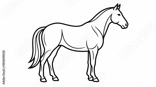Detailed line drawing illustration of a standing domestic horse with defined mane and tail on a clean white background, concept for mascot design, coloring book page and equestrian branding
