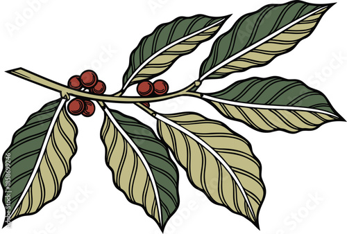 Bottle Gourd Leaves Lau Shak Illustration. Fresh Bottle Gourd Leaves Natural Look. Green Bottle Gourd Leaves Botanical Artwork. Lau Shak Leaves with Realistic Details. Natural Bottle Gourd Plant Leave