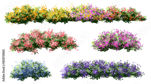 set of flowers, Vertor set of spring blossom tree,bloomimg plants side view for landscape elevation and section,eco environment concept design,watercolor illustration,colorful season