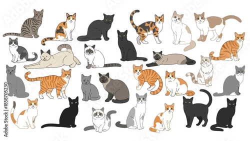 Collection of various cat illustrations in different poses and colors on a white background eps style 2.eps reference