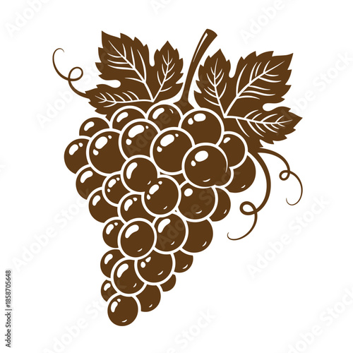 Vintage Brown grape bunch with leaves isolated on white background