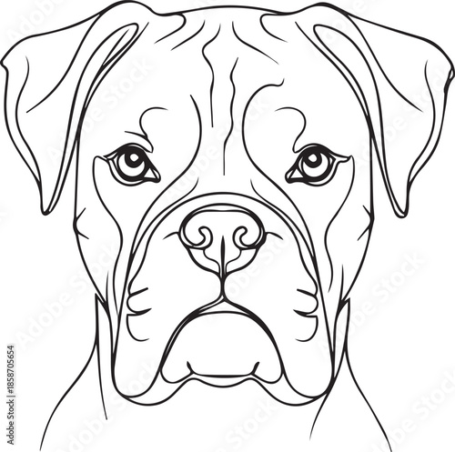 Portrait of a boxer dog