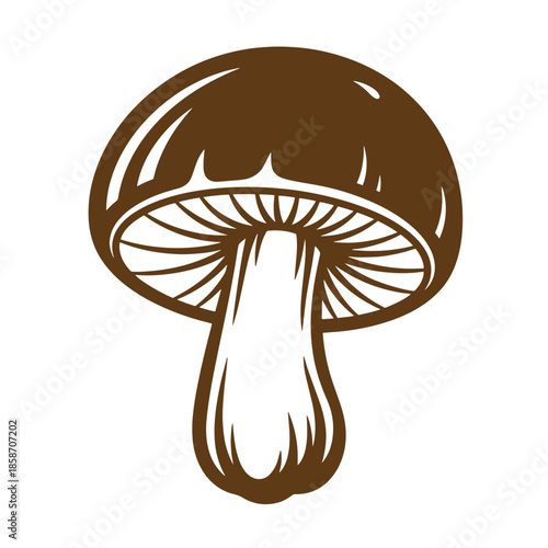 Vintage brown mushroom illustration with white background for food and nature designs