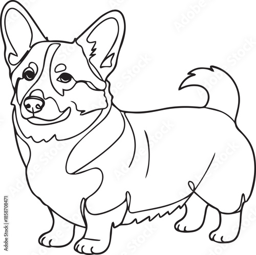 Cute line drawing of a corgi