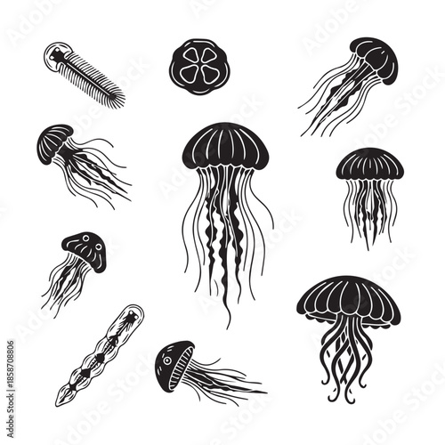 Black and white jellyfish illustrations in various shapes