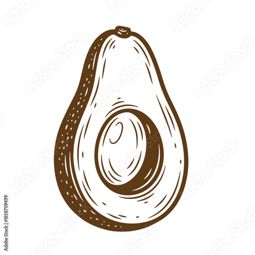 Vintage Drawing of avocado cut in half with pit inside on white background  healthy food
