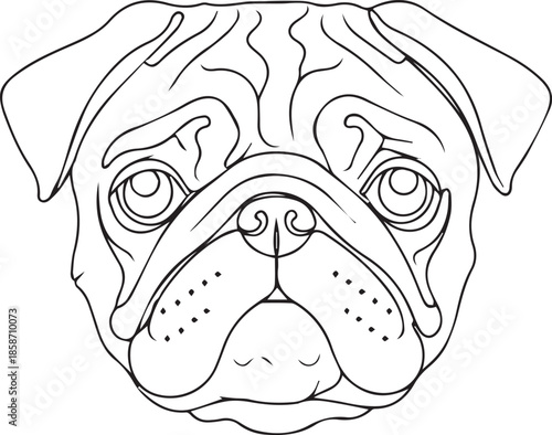 Pug dog face line art